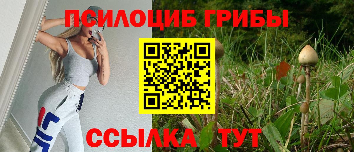 Галлюциногенные грибы Psilocybe  Вход с VPN  Северобайкальск 